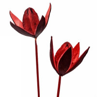 Wildlilie auf Stiel Wildlilie auf Stiel