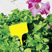 Pflanzenzschilder, 10er-Beutel Pflanzenzschilder, 10er-Beutel