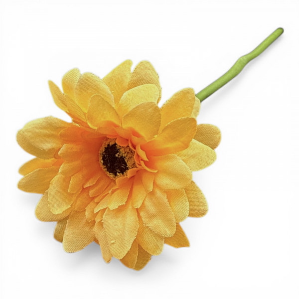 Mini-Gerbera