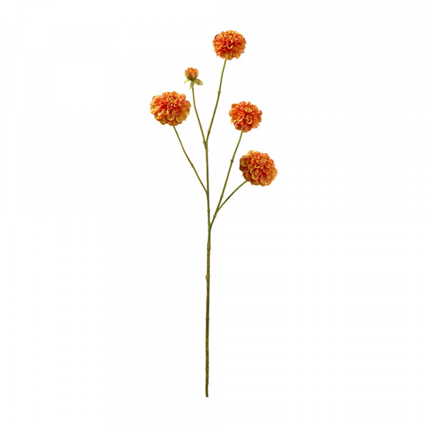 Vorbestellung: (134) Dahlian Zweig