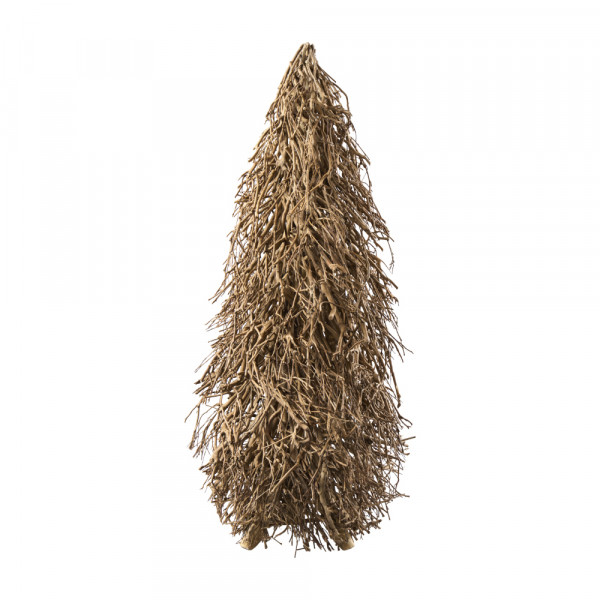 (646) Ast-Tannenbaum