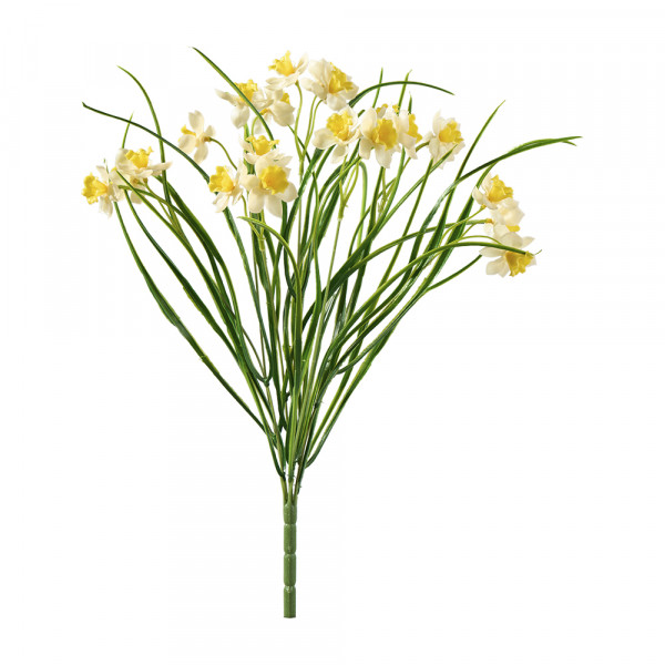 Vorbestellung: (443) Narzissenbündel x5