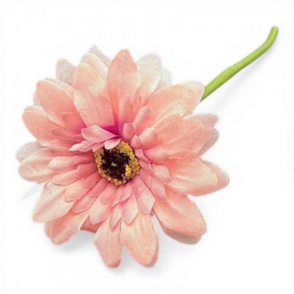 Mini-Gerbera
