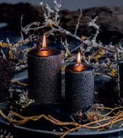 Stumpenkerze "Delia" Stumpenkerze "Delia"