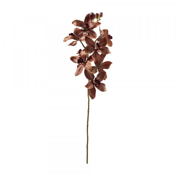 (084) Orchidee Cymbidium