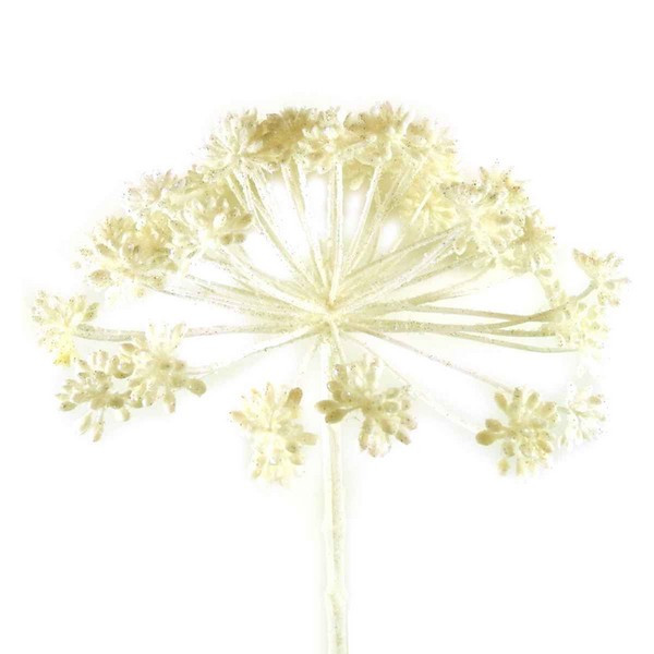 Allium Gigante-Zweig beschneit