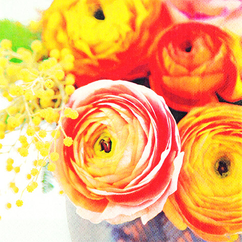 20 Servietten &quot;Beauty of Ranunculus&quot;