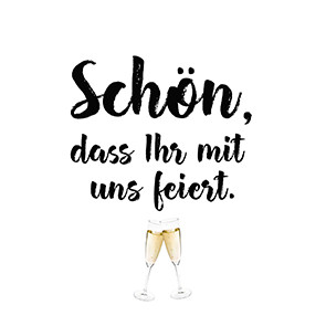 20 Servietten "Schön Feiern"