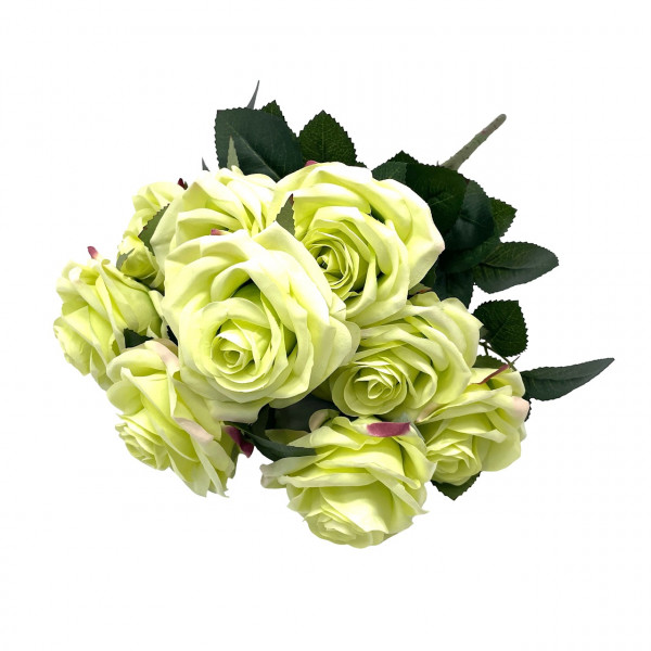 Rosenbusch "Dijon" x10