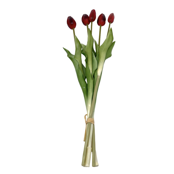 Tulpenknospen Bund x 5