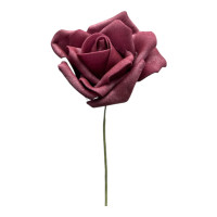 Schaumrosen Schaumrosen