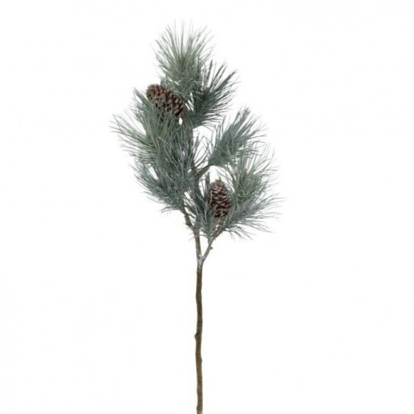 (ab 15.9. erhältlich) Tannen-Ast mit Zapfen und langen Nadeln