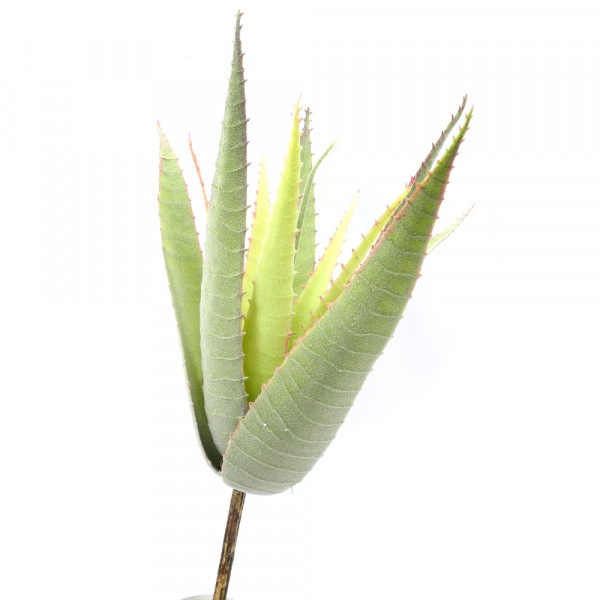 Aloe Bush beflockt x12