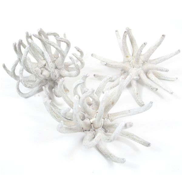 Spidergum Claws