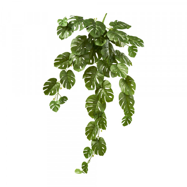 Vorbestellung: (058) Monstera-Split-Philo Hänger