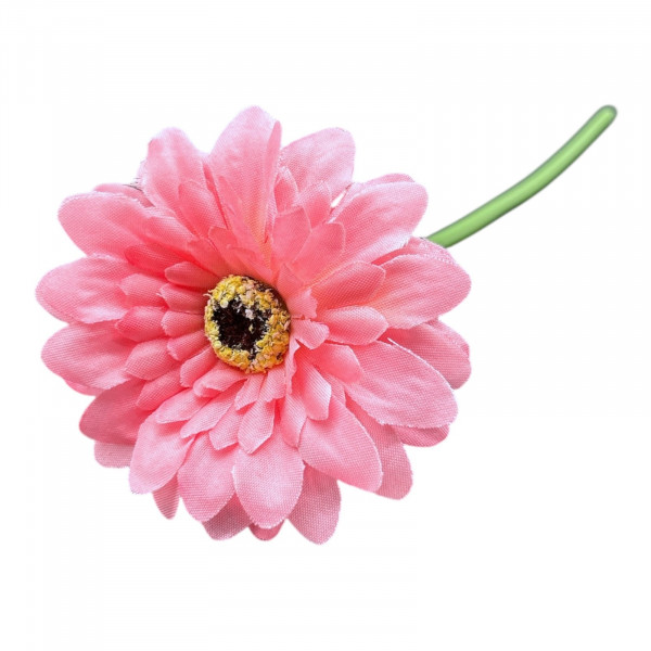 Mini-Gerbera