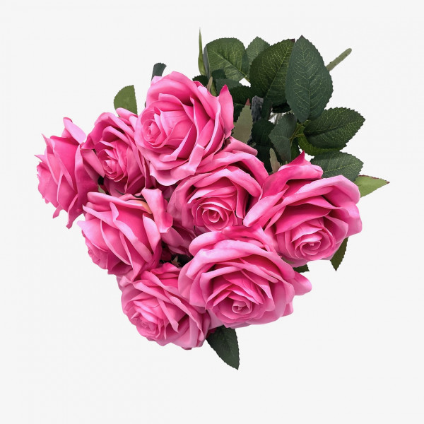 Rosenbusch "Dijon" x10