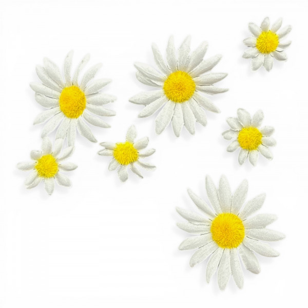 Margeritenköpfe
