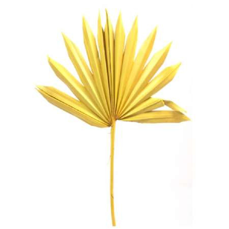 Palmspear Sonne