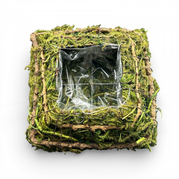 Mooskissen quad. "Atlantis"