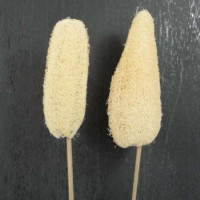 Luffa angestielt Luffa angestielt