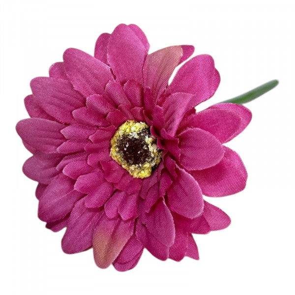 Mini-Gerbera