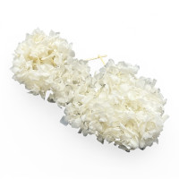 Hortensien Blüte mit Stiel Hortensien Blüte mit Stiel