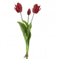 Bündel offene Tulpe "Real touch" x3 Bündel offene Tulpe "Real touch" x3