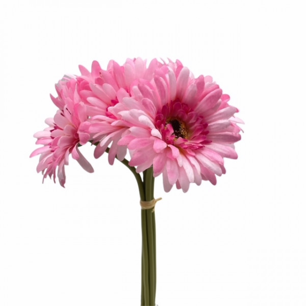 Gerbera Bündel x5
