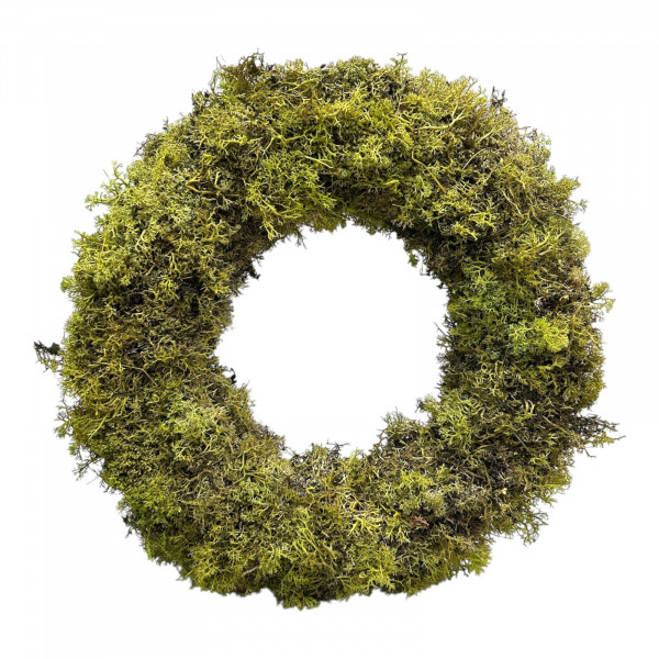 Kranz Igelmoos präpariert