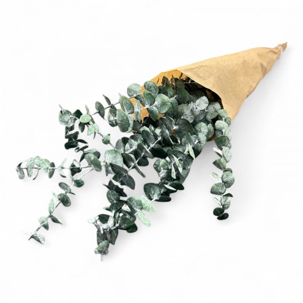 Eukalyptus Baby Blue