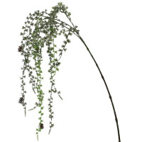 Lärchenast hängend beeist Lärchenast hängend beeist