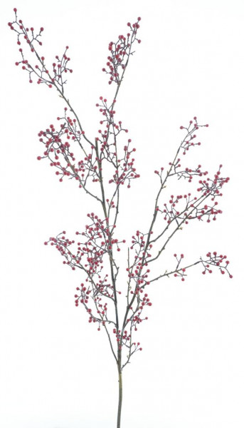 Minibeeren-Ast XXL