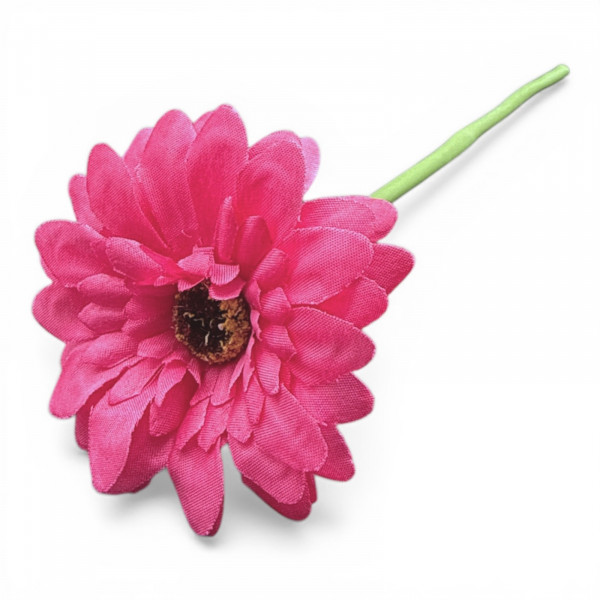Mini-Gerbera