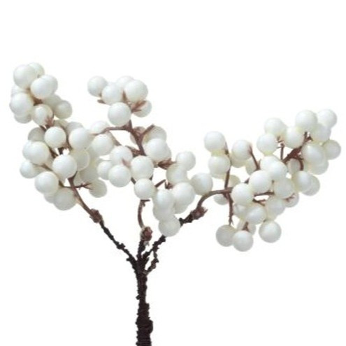 Beerendoldenpick ( Box a 12 Stk)