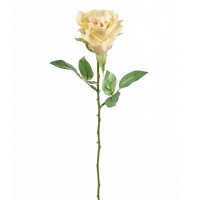 Rose Joana Rose Joana