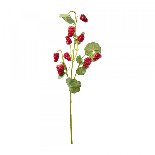 Vorbestellung: (283) Himbeeren-Zweig