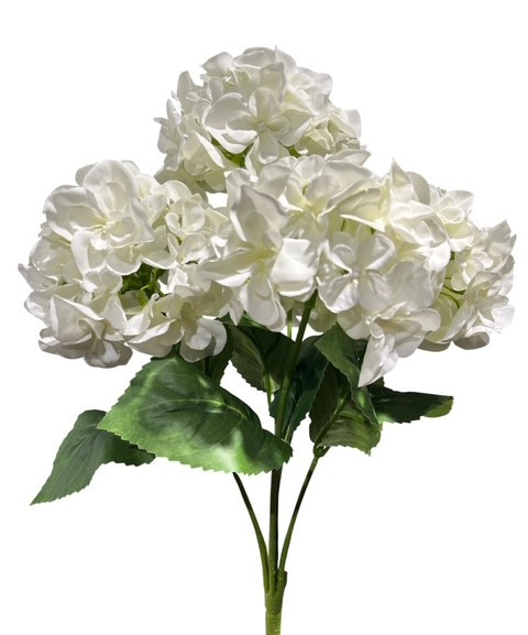 Hortensienbusch x 5 Blüten