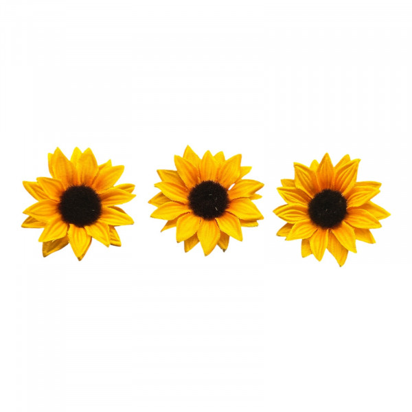 Sonnenblumen-Köpfe