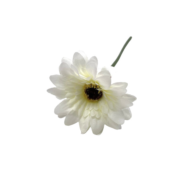 Mini-Gerbera