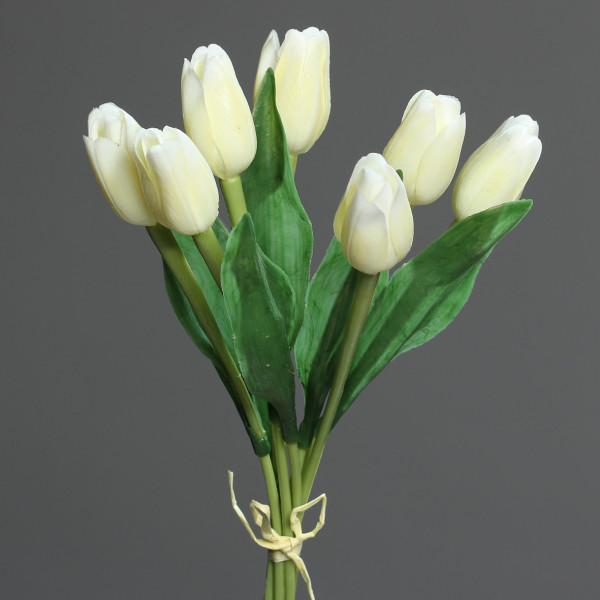 Tulpenbund x7 (Grab + Außenbereich)