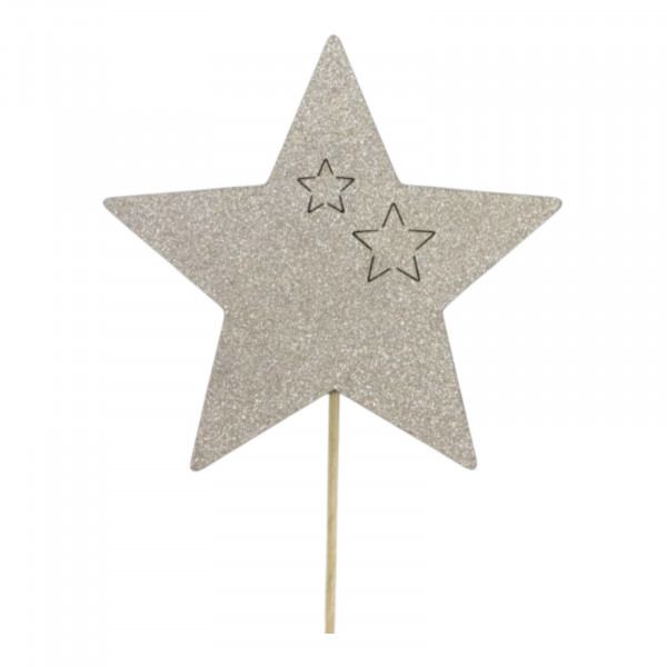 Stern Shiny Stecker