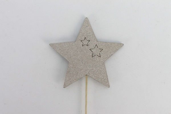Stern Shiny Stecker
