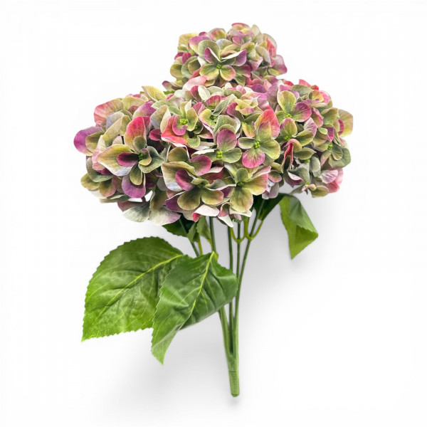 Hortensienbusch x 5 Blüten