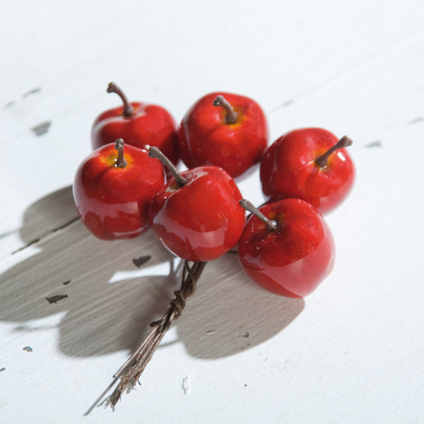 Mini-Apfel am Draht