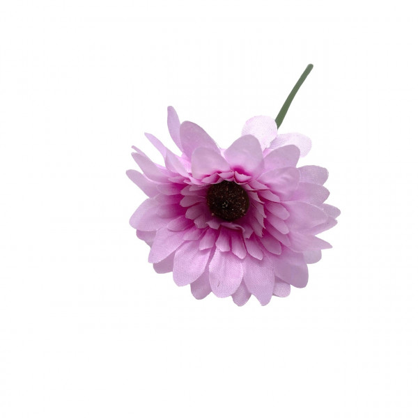 Mini-Gerbera