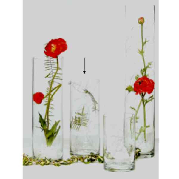 Glas "ZYLINDRO 19cm"