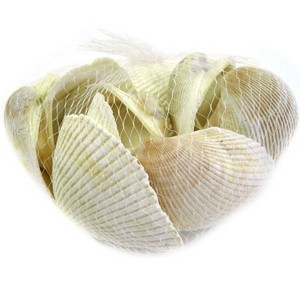 Muscheln im Netz 500gr.