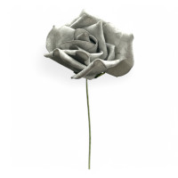 Schaumrosen Schaumrosen