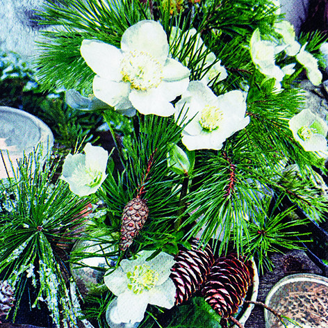 20 Servietten "Winter Rose"